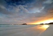Galapagos - Santa Cruz- Tortuga Bay