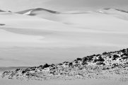 Paracas desert