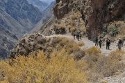 Peru - Colca Canyon