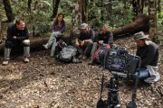 Bolivia - Amboro National Park