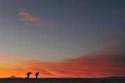 Uyuni