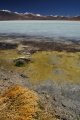 Laguna Blanca
