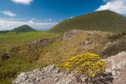 Galapagos - Floreana