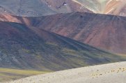 Colours near Salar Aguas Calientes