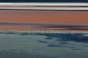 Laguna Colorada