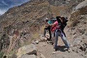Peru - Colca Canyon