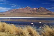 Laguna Hedionda