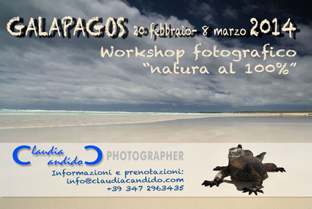 2014-Galapagos-web